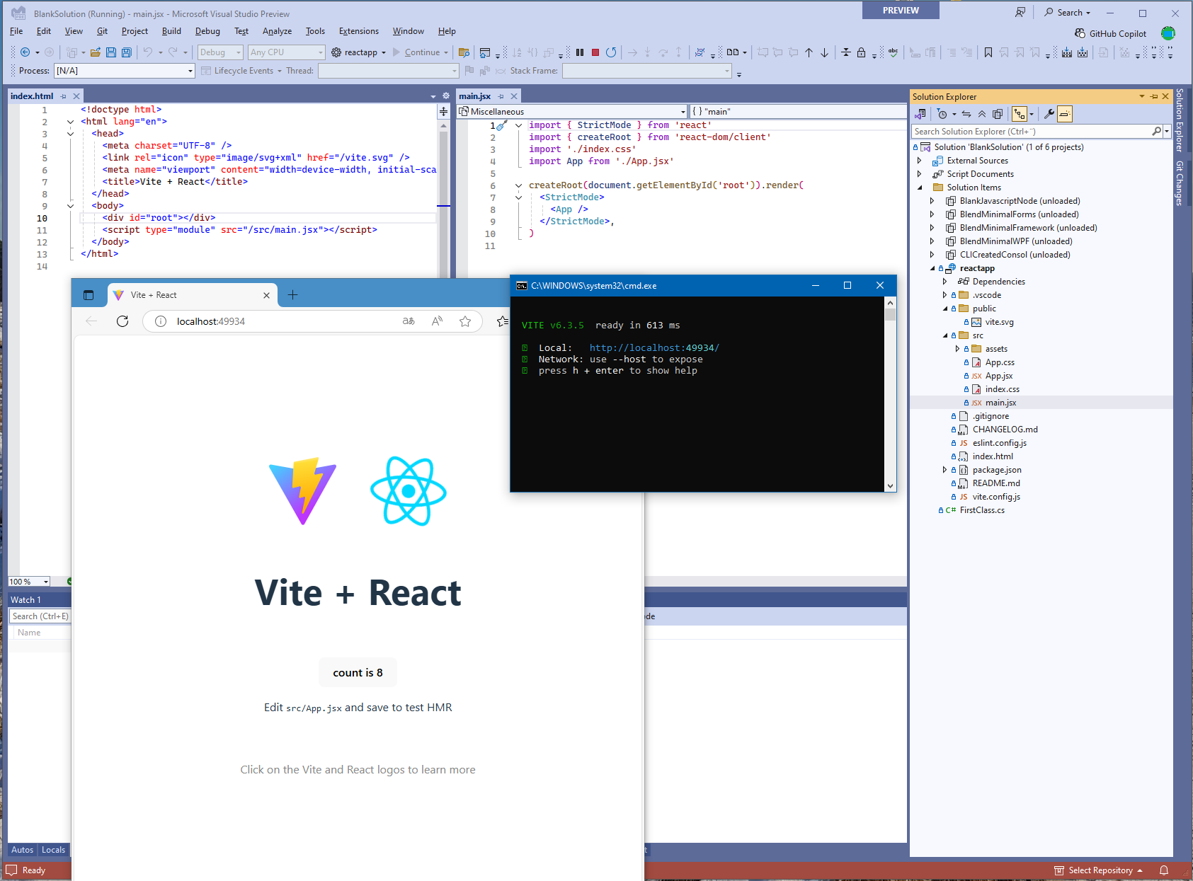 React project in Visual Studio